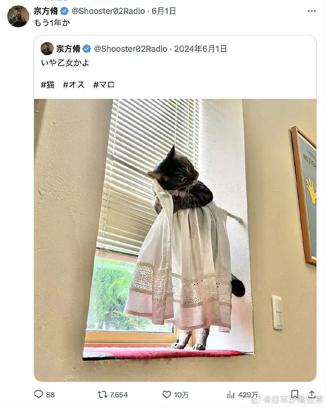 【爆笑】“网友：哪来的古风老娘啊！” 哈哈哈哈哈被网友评论笑晕过去（组图） - 66