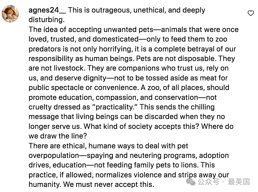 三观炸裂!丹麦动物园公开征集民众不要的宠物,给自家猛兽当食物!网友震惊怒怼…(组图) - 11