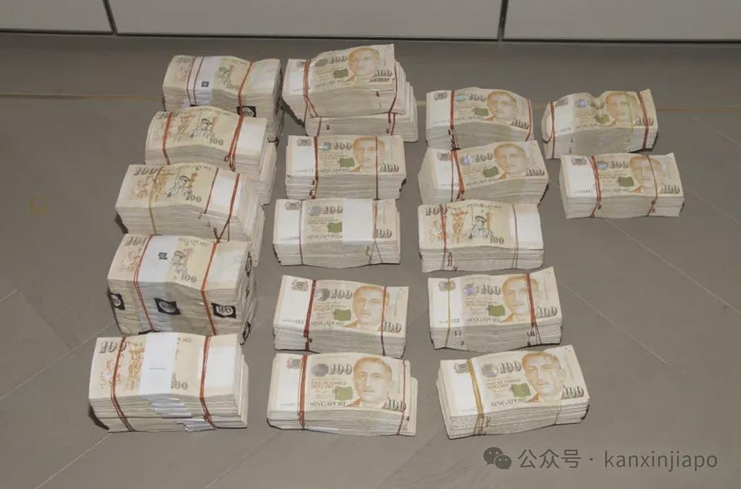 新加坡30亿洗钱案主犯英国9套豪宅被抄！还有恐龙化石、中国古董全没收（组图） - 3