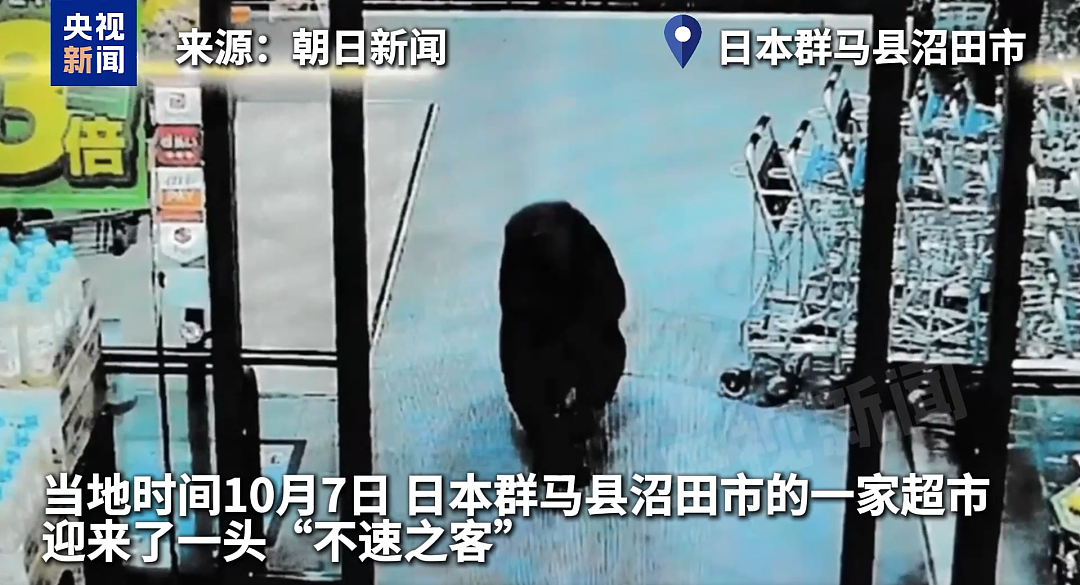 已致十多人死亡,超百人受伤!中国大使馆紧急提醒(组图) - 4
