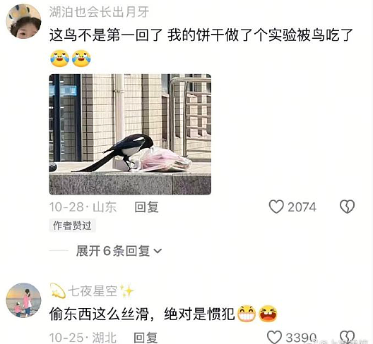 【爆笑】给男朋友定了个蛋糕，结果被他各种嫌弃？网友无语：太下头了吧？（组图） - 28