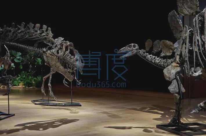 中国大佬竟持有侏罗纪恐龙化石？逃亡英国被查抄（组图） - 1