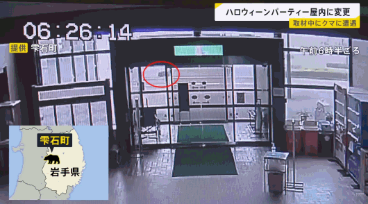 已致12人死亡,中使馆紧急提醒!日本熊灾爆发,已逼近东京…(组图) - 6