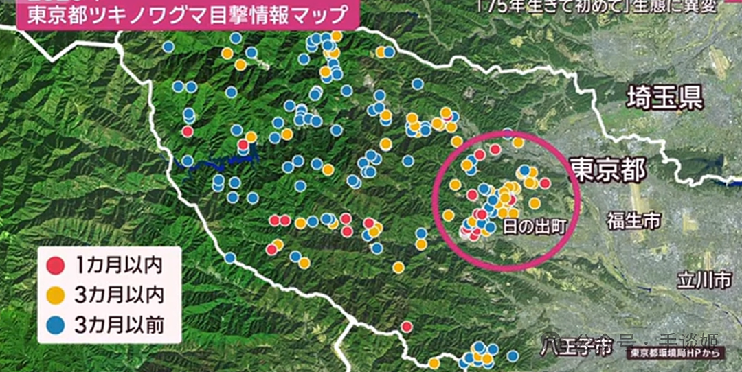 已致12人死亡,中使馆紧急提醒!日本熊灾爆发,已逼近东京…(组图) - 10