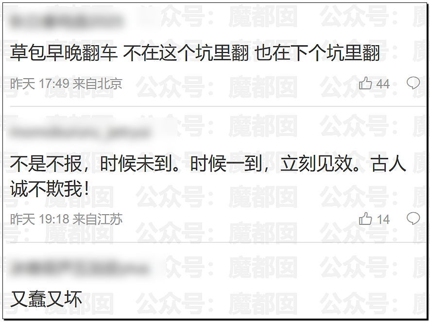 震撼!王家卫和女编剧秦雯私密录音触及国家底线!真要凉了(视频/组图) - 4