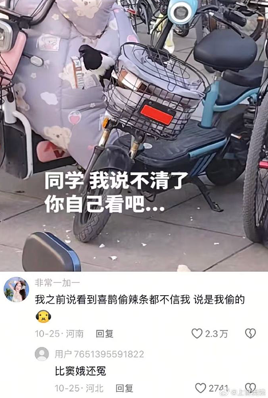 【爆笑】给男朋友定了个蛋糕，结果被他各种嫌弃？网友无语：太下头了吧？（组图） - 24