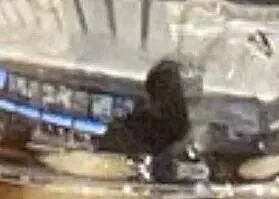 17岁女偶像看电影晒美照，却被“柯南网友”们发现隐藏男性，被扒到退团了？（组图） - 5