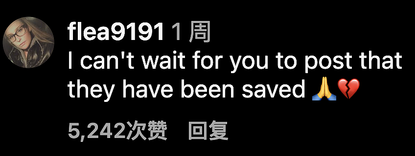 心碎！虎鲸母子被困废弃海洋公园，无人机拍到濒死“起舞”引全球愤怒！（组图） - 29