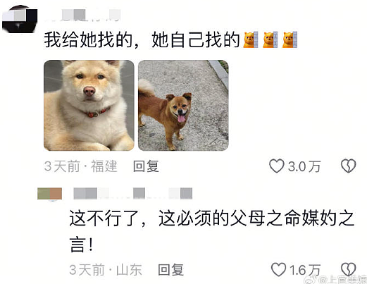 【爆笑】给男朋友定了个蛋糕，结果被他各种嫌弃？网友无语：太下头了吧？（组图） - 51