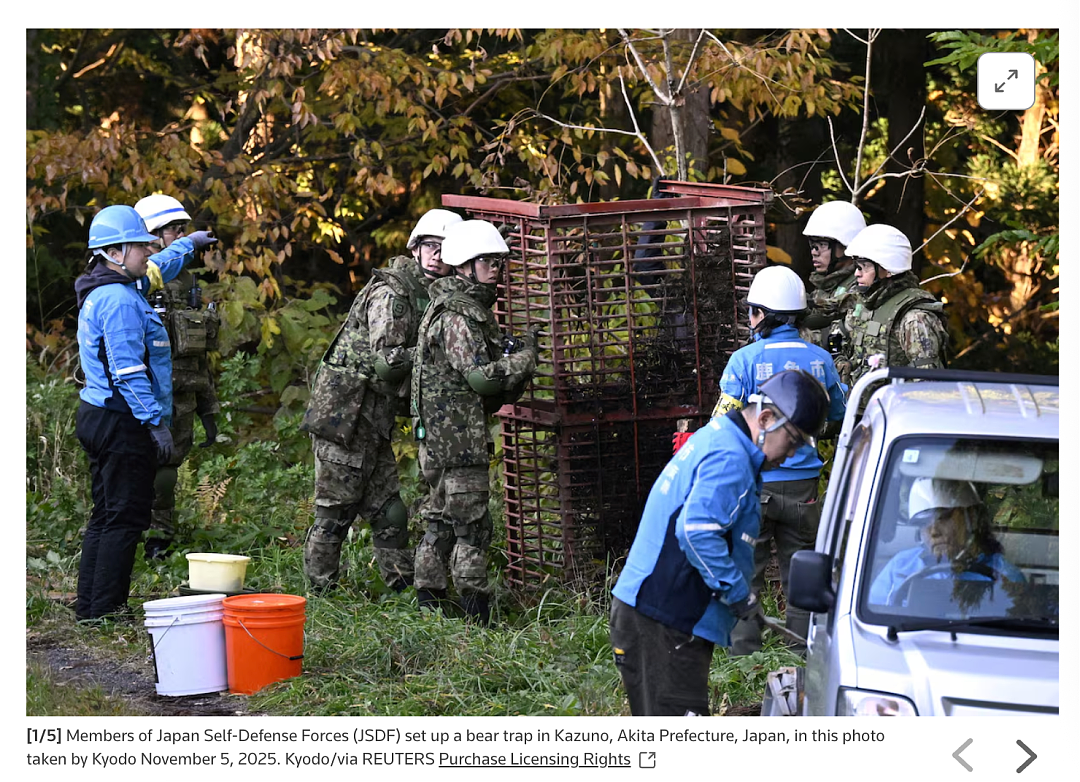 已致12人死亡,中使馆紧急提醒!日本熊灾爆发,已逼近东京…(组图) - 1