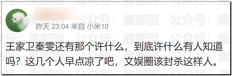 震撼!王家卫和女编剧秦雯私密录音触及国家底线!真要凉了(视频/组图) - 13