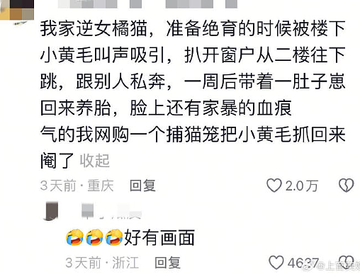 【爆笑】给男朋友定了个蛋糕，结果被他各种嫌弃？网友无语：太下头了吧？（组图） - 56