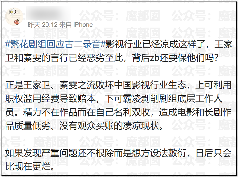 震撼!王家卫和女编剧秦雯私密录音触及国家底线!真要凉了(视频/组图) - 15