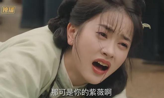琼瑶儿媳被质疑消费婆婆！短剧《还珠》犯低级错误，剧方连夜修改（组图） - 5