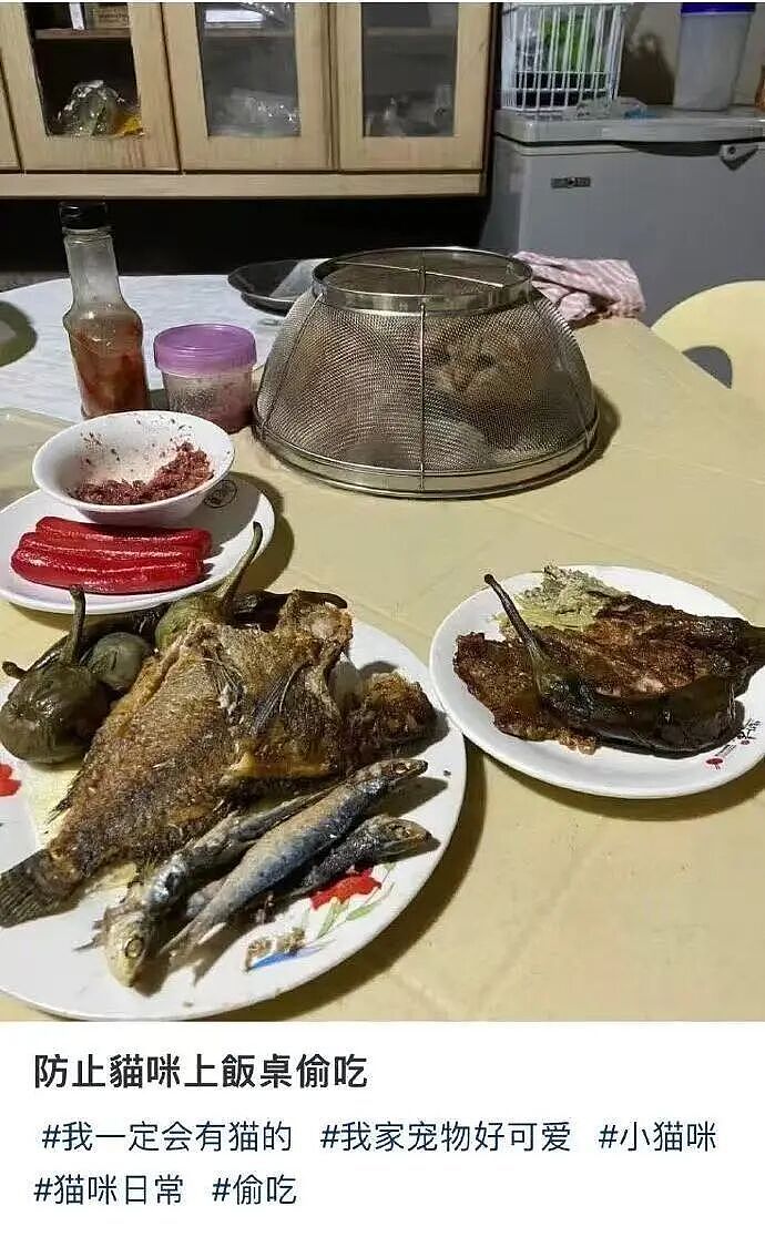 【爆笑】“男朋友一周年送我的礼物竟然是…?”啊啊啊这是把你当成废品回收站了(组图) - 74