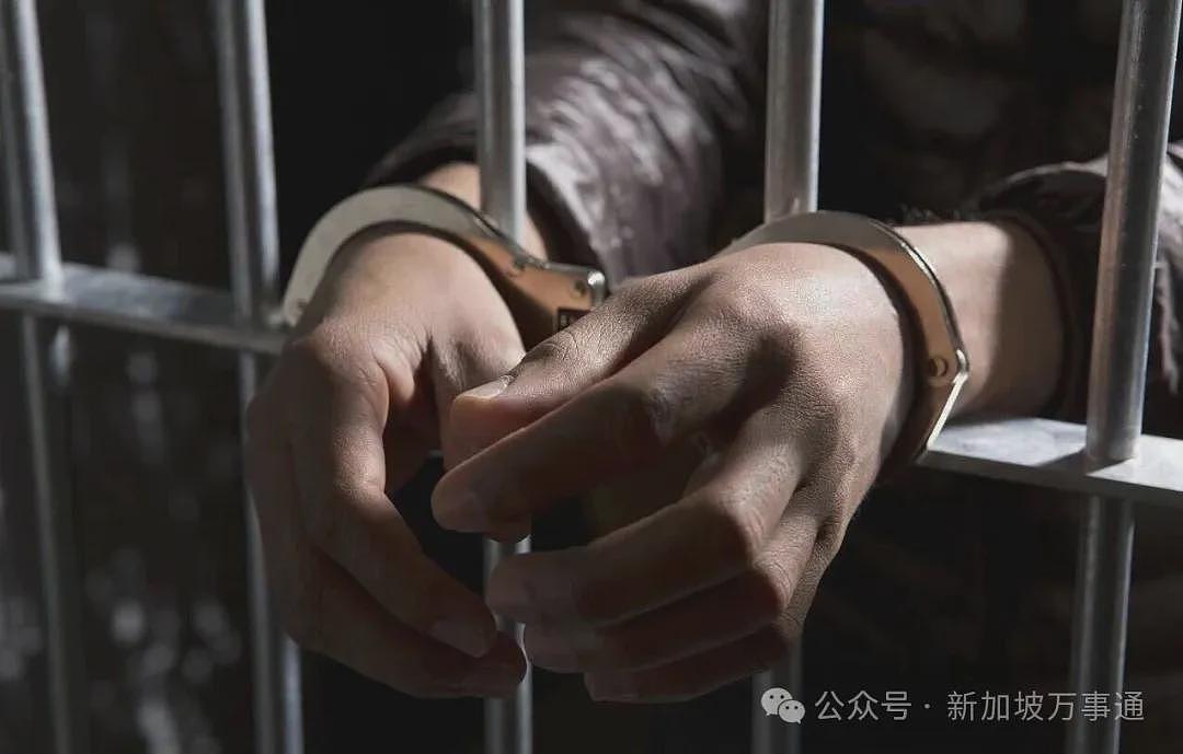 中国陪读妈妈在新加坡“潜伏”16年！用假护照多次出入境、还申请工作准证，最终...（组图） - 16