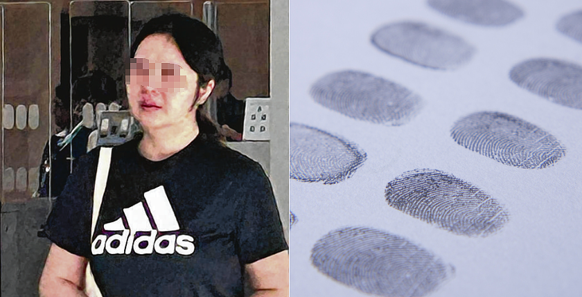 中国陪读妈妈在新加坡“潜伏”16年！用假护照多次出入境、还申请工作准证，最终...（组图） - 10