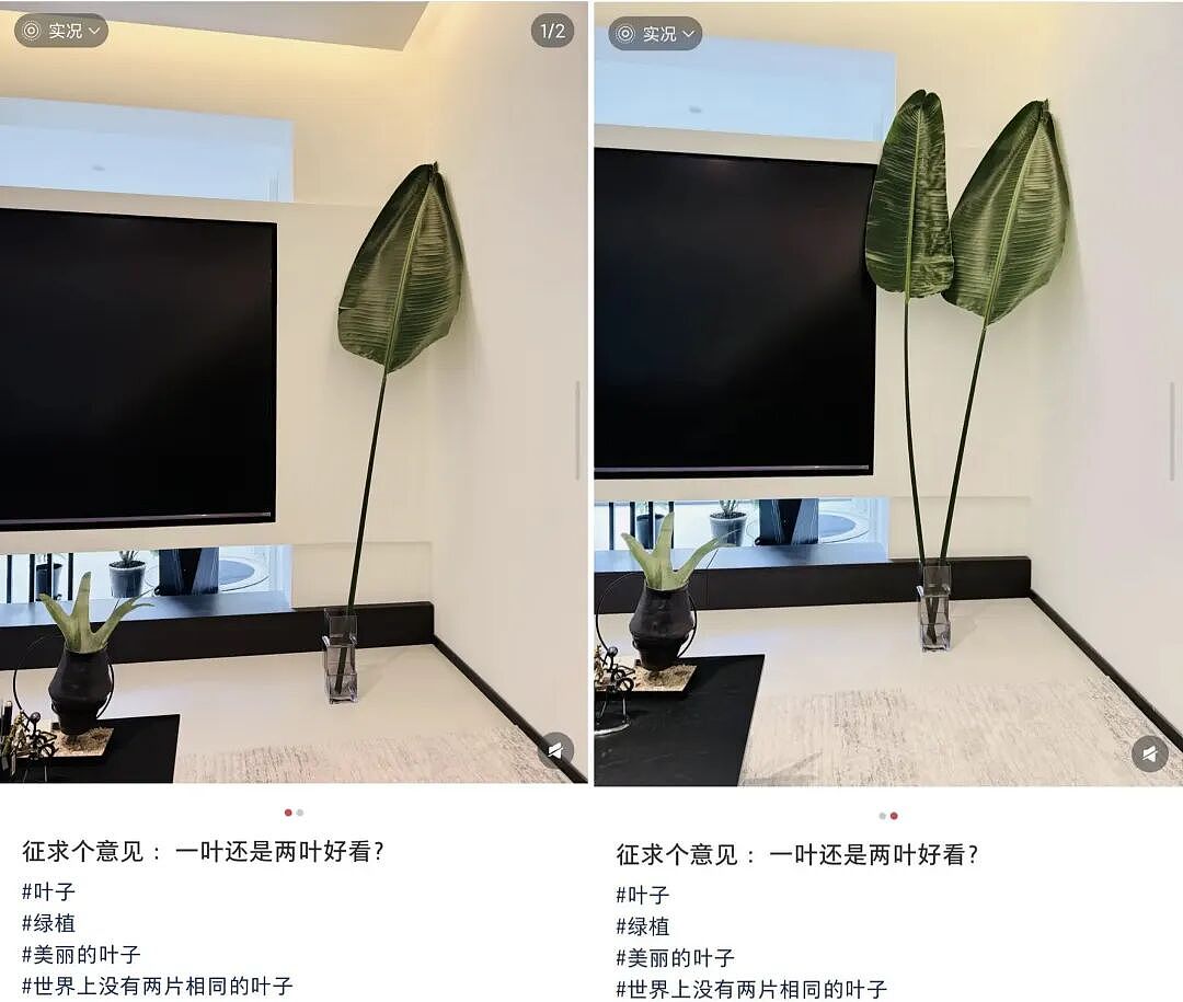 【爆笑】“当客家话遇上邪修......”哈哈哈哈哈哈哈哈哈每句都出乎意料（组图） - 40