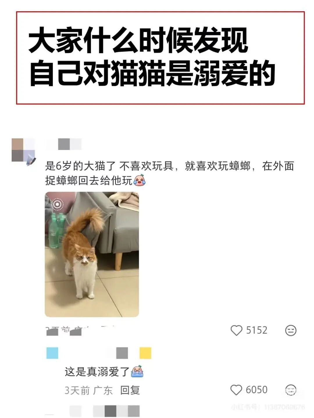 【爆笑】“男朋友一周年送我的礼物竟然是…?”啊啊啊这是把你当成废品回收站了(组图) - 23