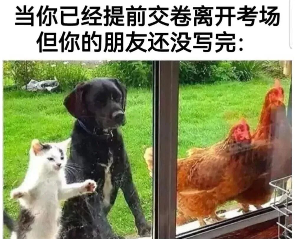 【爆笑】“当客家话遇上邪修......”哈哈哈哈哈哈哈哈哈每句都出乎意料（组图） - 35