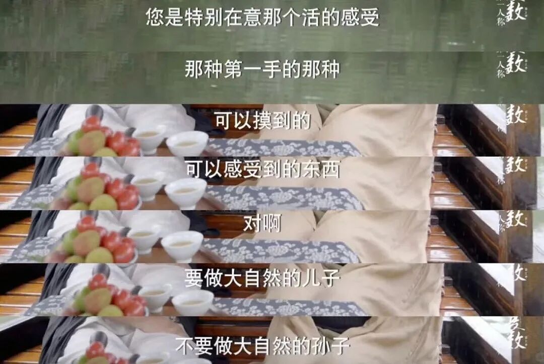 53岁考牛津，80岁出家：中国最敢说真话的顶级白富美，被封杀40年后，终于霸气回归（组图） - 7