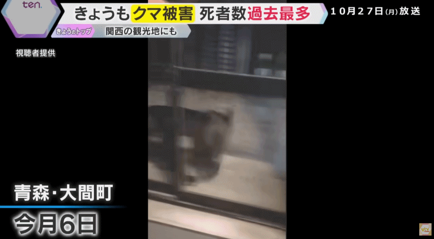 已致12人死亡,中使馆紧急提醒!日本熊灾爆发,已逼近东京…(组图) - 4