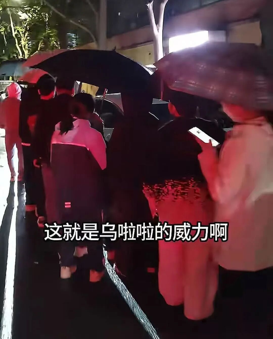 又一专坑中国年轻人的“新型网红”翻车,炸出多少跟风上瘾的人(组图) - 21