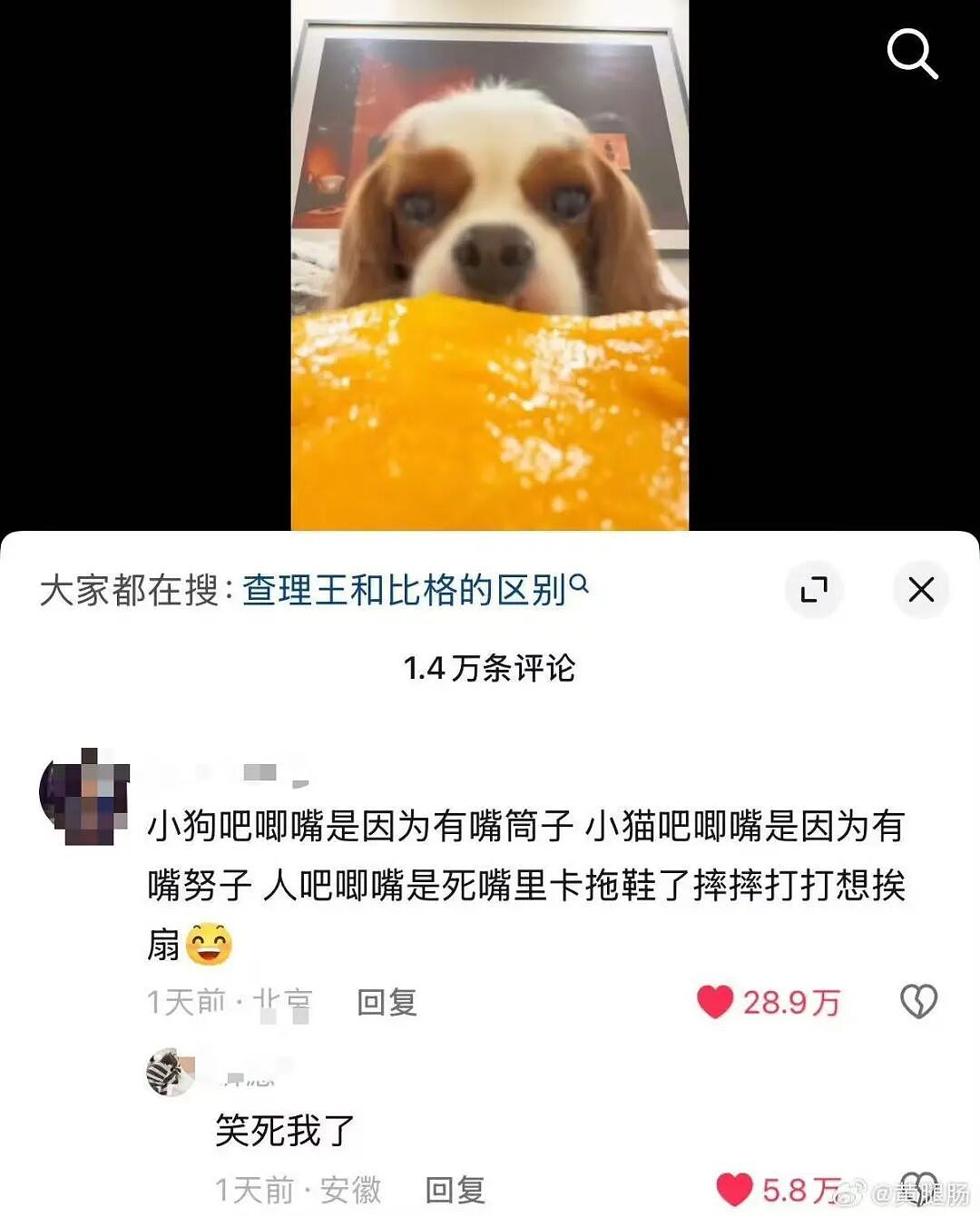 【爆笑】“男朋友一周年送我的礼物竟然是…?”啊啊啊这是把你当成废品回收站了(组图) - 41