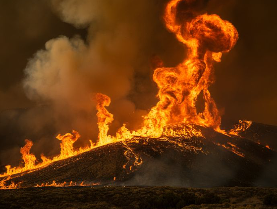 新西兰国家公园山火！华人登山者死里逃生：世界末日，热浪扑面（组图） - 13