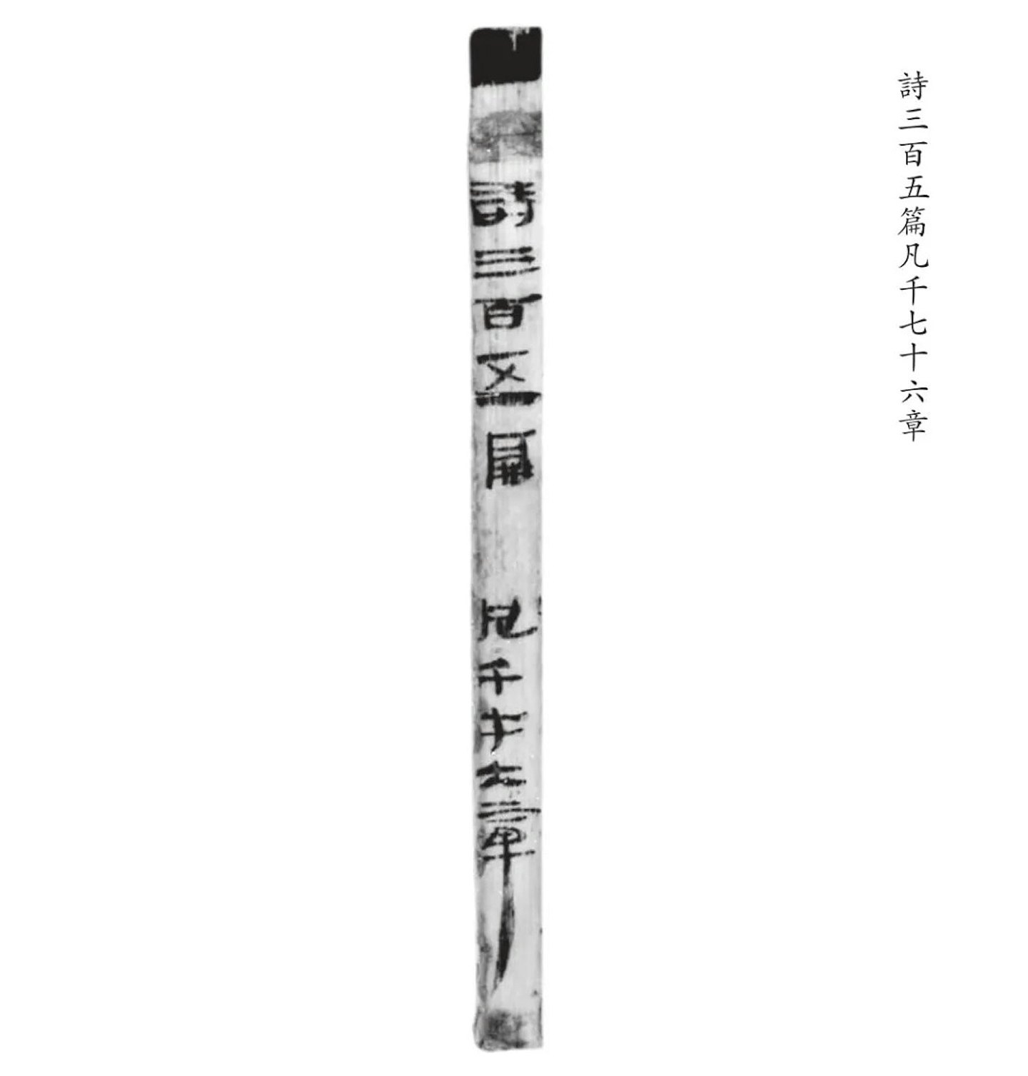 江西海昏侯墓首次发现秦汉时期全本《诗经》 目前发现存字最多(组图) - 4