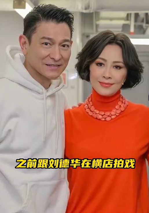 刘嘉玲曝刘德华遭私生骚扰，对方藏床底爬出来（视频/组图） - 2
