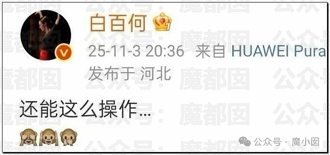 内幕重重？白百何团队亲自下场，曝私密聊天记录手撕剧组（组图） - 26