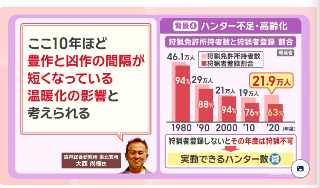 已致12人死亡,中使馆紧急提醒!日本熊灾爆发,已逼近东京…(组图) - 7