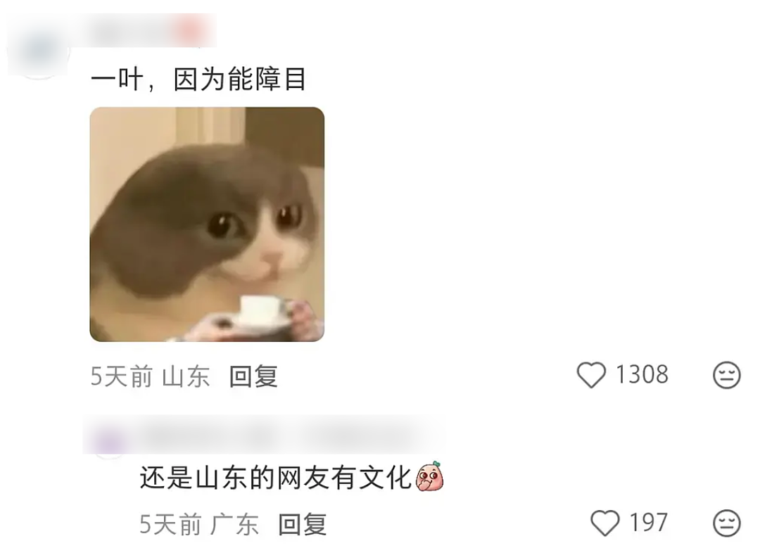【爆笑】“当客家话遇上邪修......”哈哈哈哈哈哈哈哈哈每句都出乎意料（组图） - 41