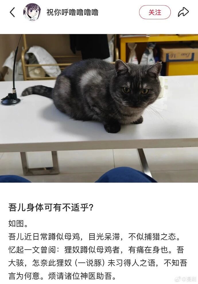 【爆笑】“当客家话遇上邪修......”哈哈哈哈哈哈哈哈哈每句都出乎意料（组图） - 20