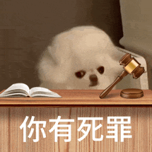 【宠物】退役警犬到家第1天不敢坐下,3个月后…猫哥被烦到想报警?警犬:报吧,出警的是我前爹(组图) - 1