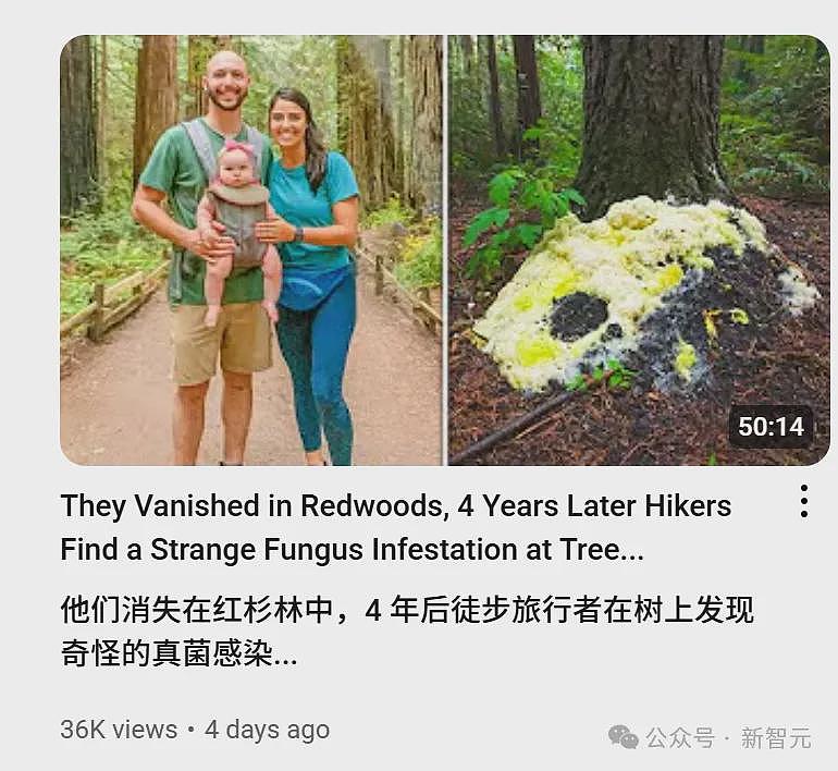 AI狂造人类失踪案，百万网友疯狂上头原地笑疯（组图） - 13