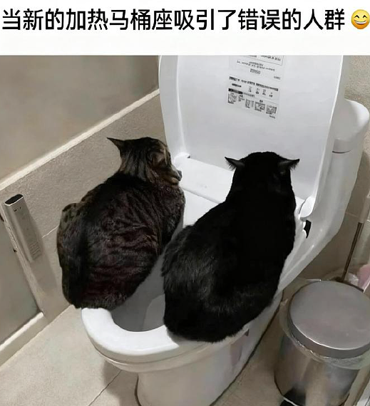 【爆笑】男朋友这样和异性朋友聊天正常吗? 网友夺笋:恭喜!他谈恋爱了(组图) - 17
