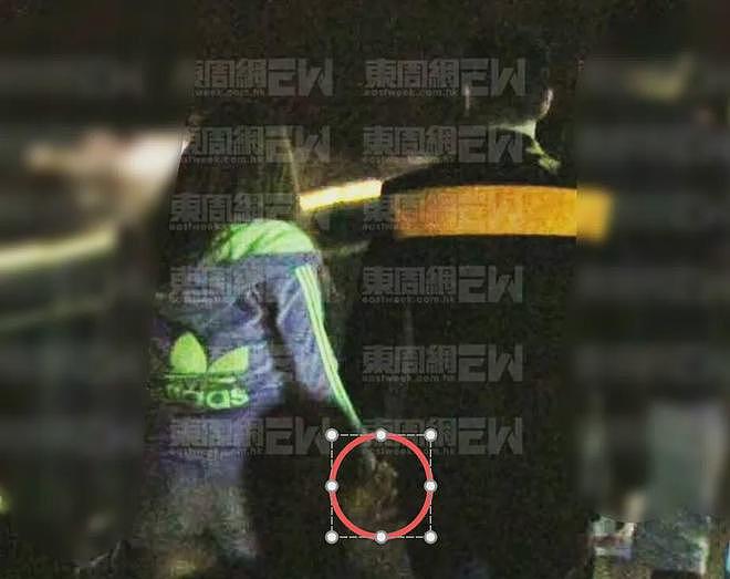 苏永康被曝出轨！与女子十指紧扣举止亲密，劣迹太多网友呼吁封杀（组图） - 5