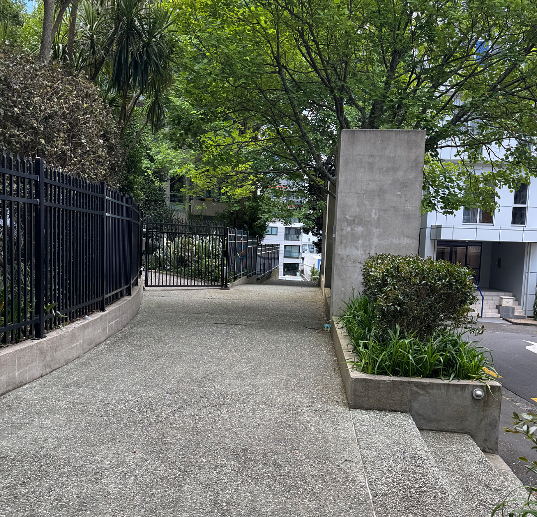 中国留学生在奥克兰市中心被打!“感觉被新西兰骗了……为了签证,只能忍”(组图) - 1