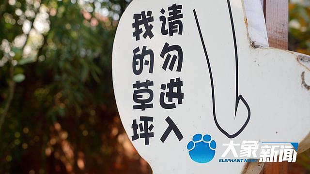 “大衣哥”反击网暴：前前后后借出去100多万，要不回来了（组图） - 5