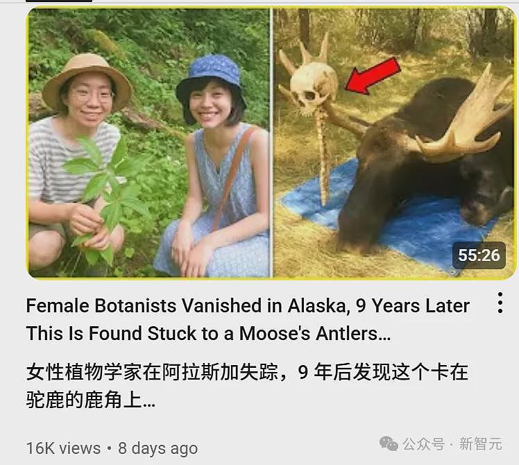 AI狂造人类失踪案，百万网友疯狂上头原地笑疯（组图） - 15