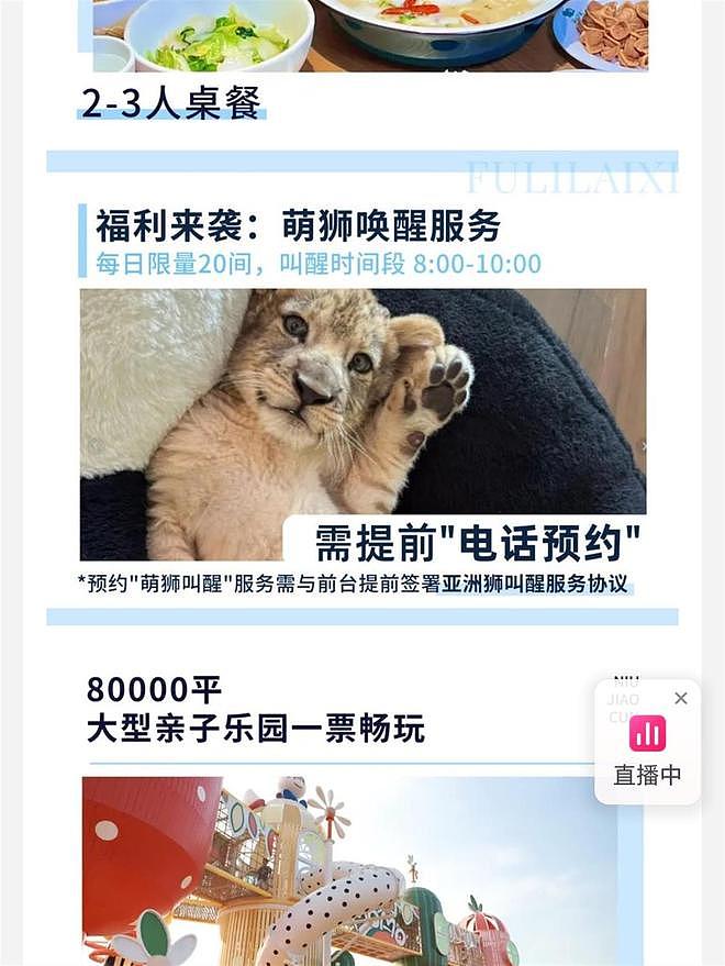 小狮子进酒店房间“叫醒服务”,628元一晚,工作人员:每日限量20间,未来两周已约满(组图) - 1