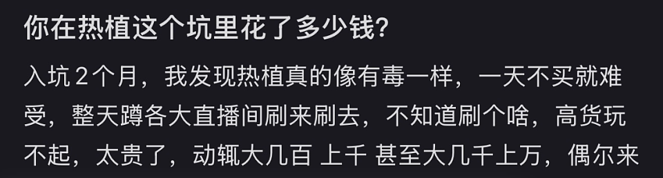 一株绿植100万,中产销金窟又出王炸?(组图) - 11