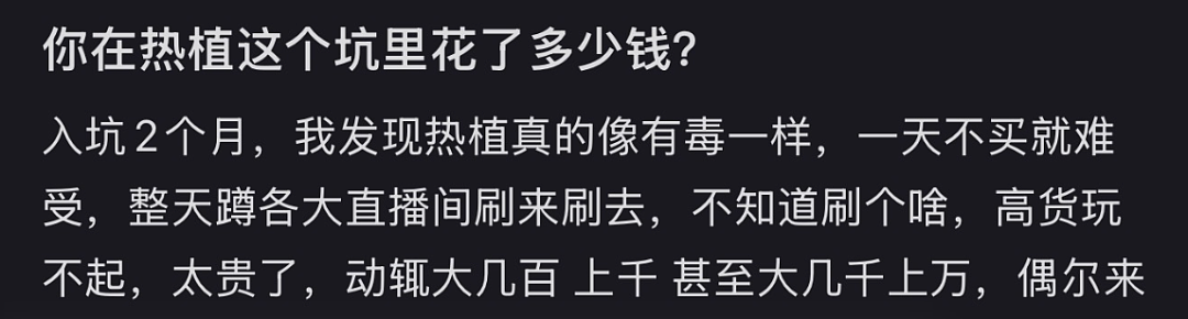 一株绿植100万，中产销金窟又出王炸？（组图） - 10