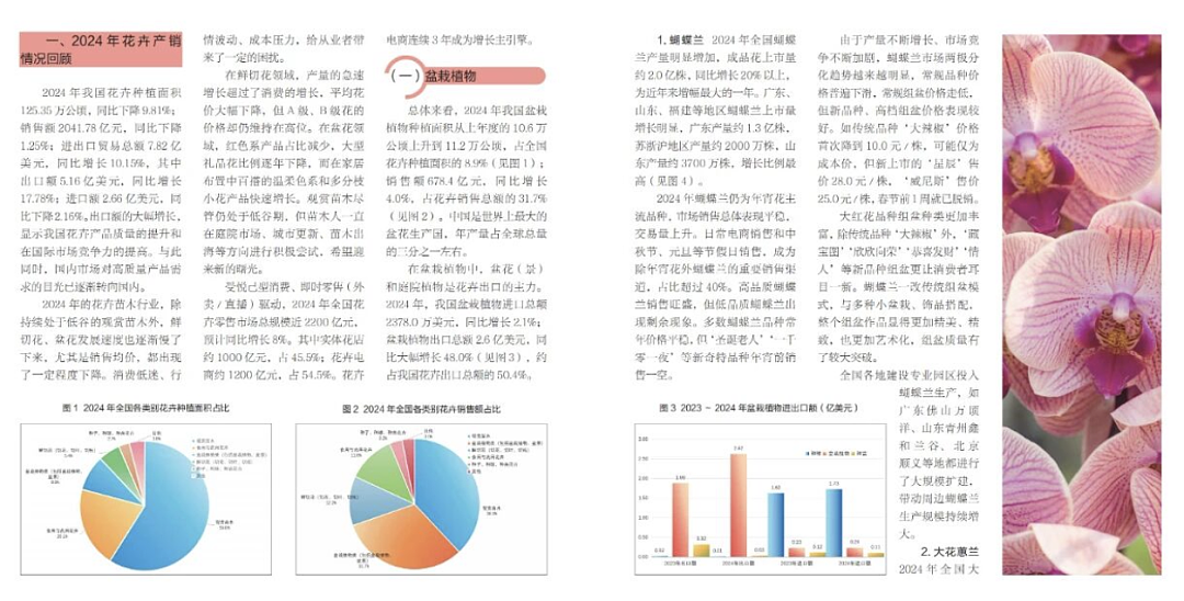 一株绿植100万，中产销金窟又出王炸？（组图） - 16