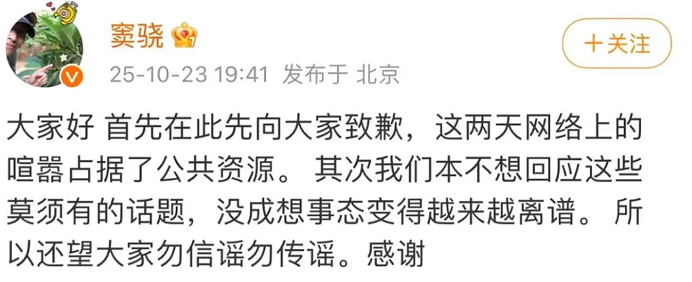 窦骁何超莲澳洲甜蜜度假，打脸婚变传闻！婚戒不离手力证情不变（组图） - 16