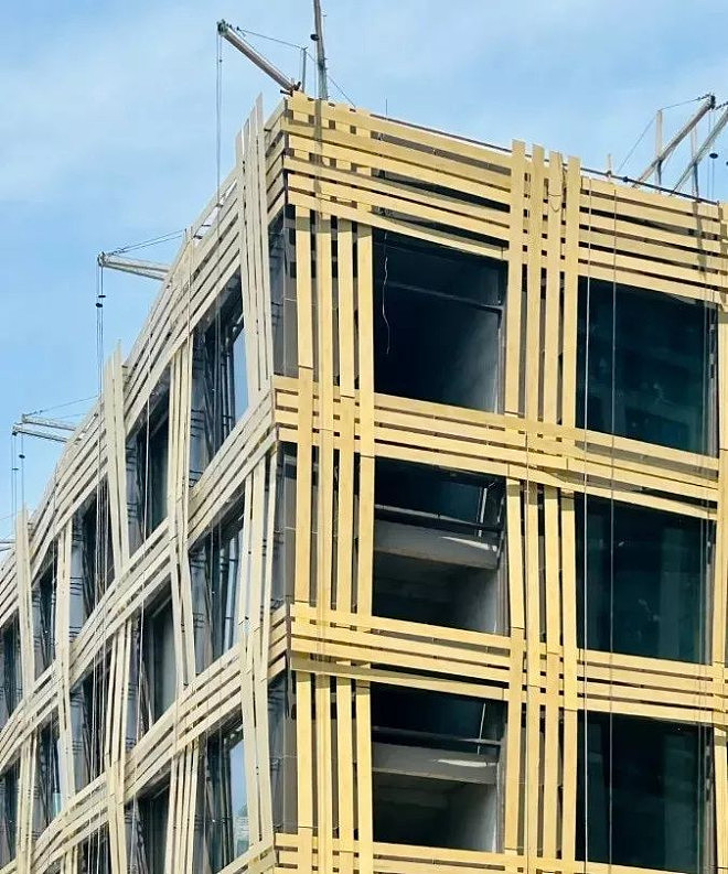 “在摆烂“?日本建筑大师武汉的设计被中国网友嘲(组图) - 3