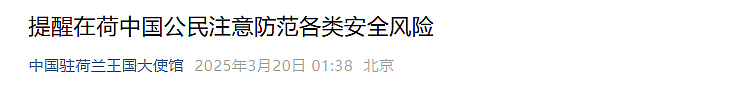 大张伟透露曾在荷兰遭砸车盗窃:玻璃全被砸,调监控的话要花4.1万元,还以为是节目组整蛊(组图) - 4