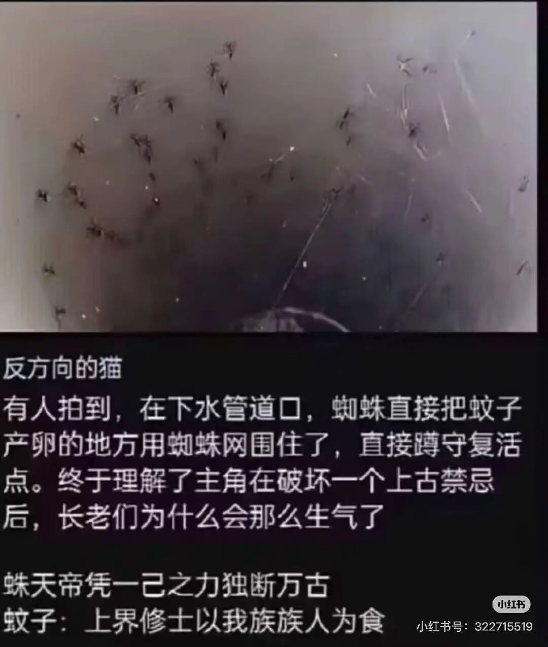 【爆笑】撞到已婚男领导和男同事在办公室接吻？啊啊啊你也不想这事被全公司知道吧（组图） - 19